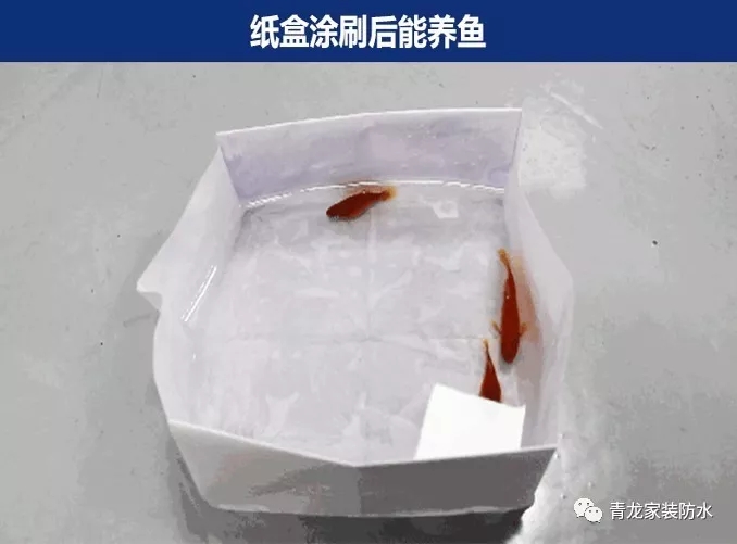 衛(wèi)生間滲漏維修太復雜，用這種產(chǎn)品老師傅都驚呼神奇！[附視頻](圖1)